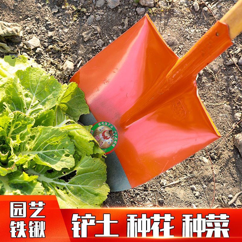 现货农业a工具铁锹钢锹头农用锰钢铲子多功能开沟神器农具大全小