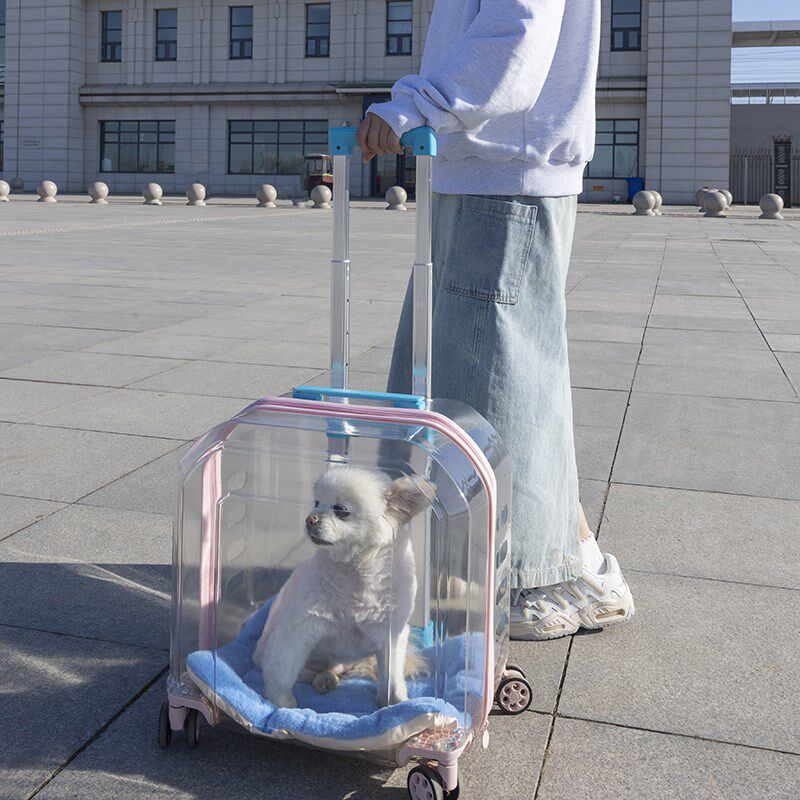 猫包便携外出包宠物拉杆箱猫咪太空舱透明行李箱外带箱大容量夏天