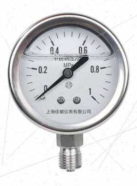 3040bf40m厂厂销不锈高耐震压力表yn促径向蒸汽耐钢温抗震气压品6