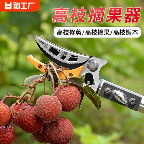 摘果神器修枝剪伸缩高空摘水果剪刀加长采摘器荔枝枇杷龙眼高枝剪