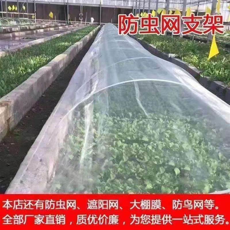 现货速发100根农用小拱棚支架菜棚保温棚花棚遮阳网防虫网支架玻