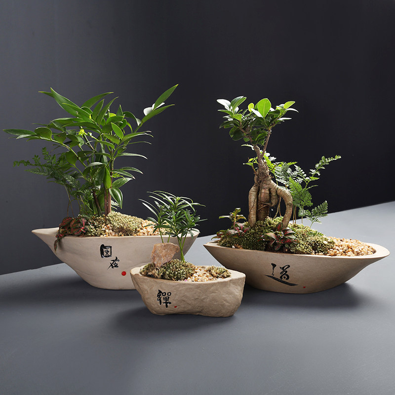 精品仿邮头文竹花盆天然石头盆景长方形石仓包清t简约陶瓷多肉盆