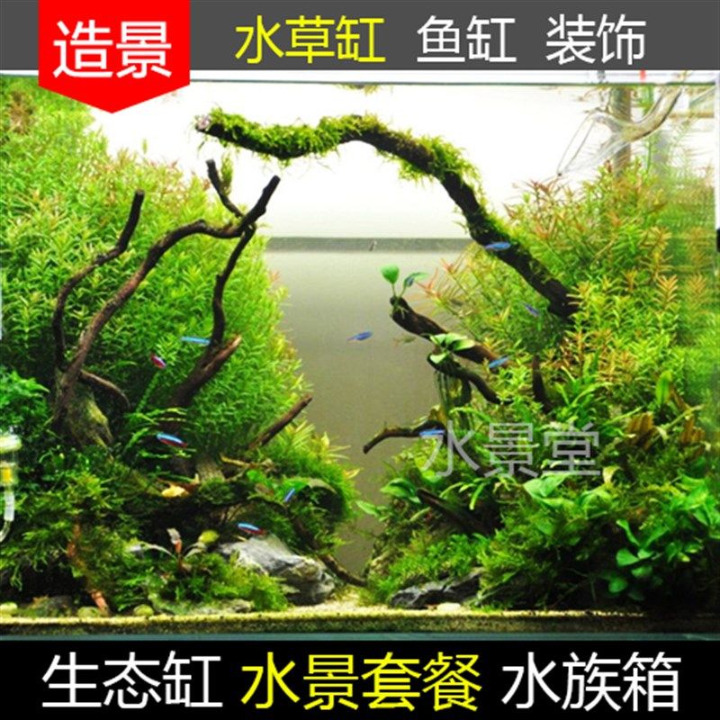 沉木造景套餐 水草缸装饰松皮石造景石山盆景水草缸鱼缸水族箱