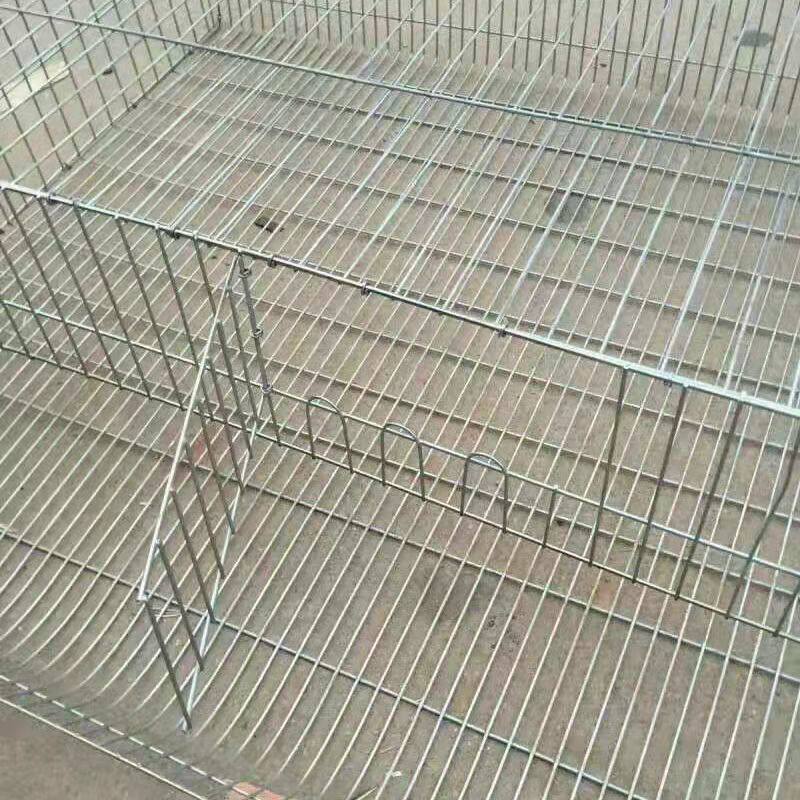 热销鹌鹑笼养殖笼立式阶梯鹌鹑笼自动滚蛋家用鹧鸪养殖笼