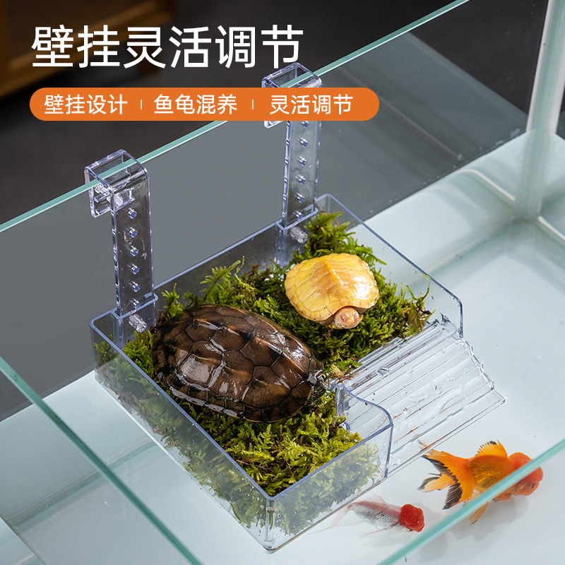 新品挂壁式乌龟晒台透明水龟爬台高水位H龟缸休息台面多功能爬坡