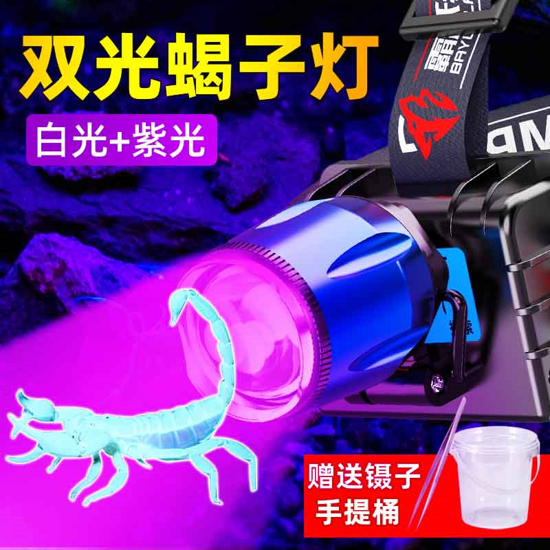 热销照蝎子专用灯头戴式头灯强光超亮充电专业钓夜钓手电筒蝎子紫