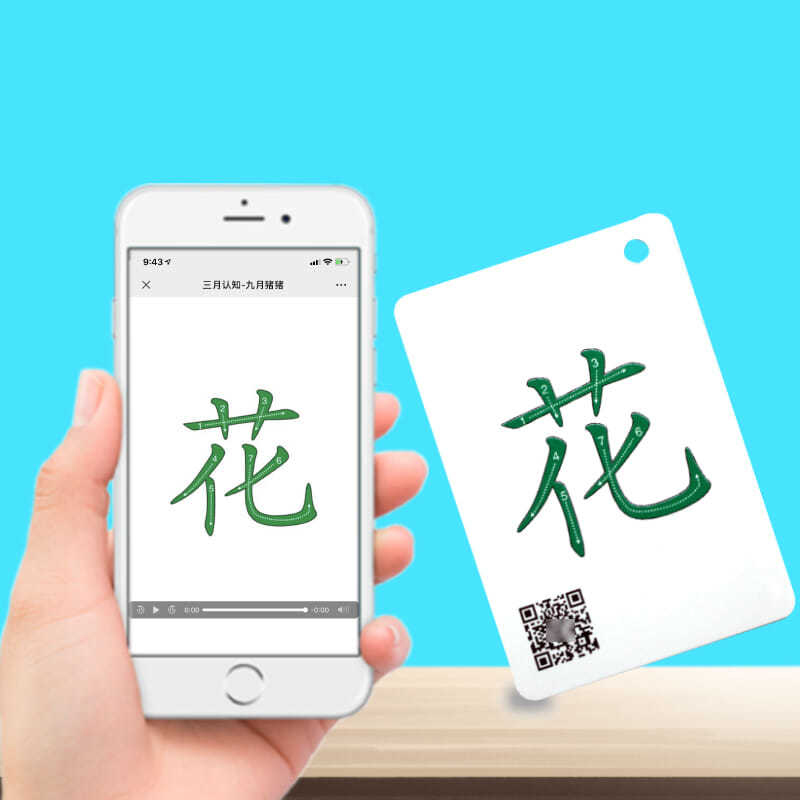 速发Chinese Books Pinyin Card Characters Hanzi Learning Chil