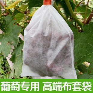 葡萄专用套袋防虫防鸟露天育果保护袋水果莲雾西瓜芒果防针蜂透气