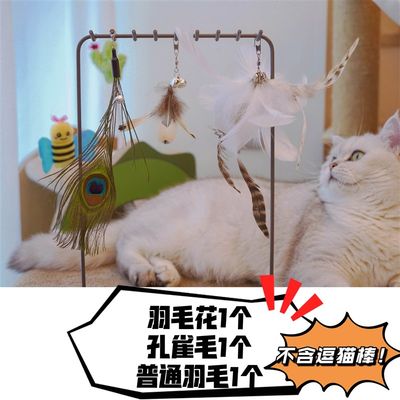 急速发货.逗猫棒赛级猫咪自嗨羽毛带铃铛玩具可替换头实木柄幼猫