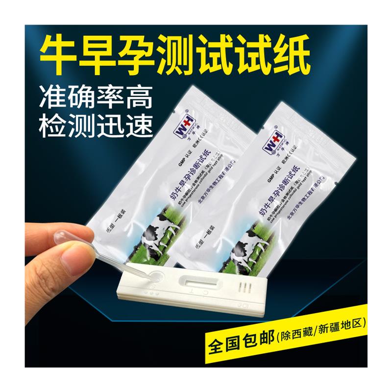 新品母牛测孕纸牛用怀孕试纸养殖场畜牧兽用验孕棒奶牛测孕测试纸