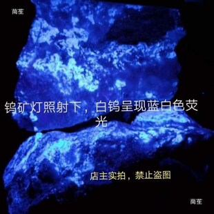 钨矿灯 白钨矿探矿灯 找白钨荧光探测紫外仪 便携式充电野外探钨