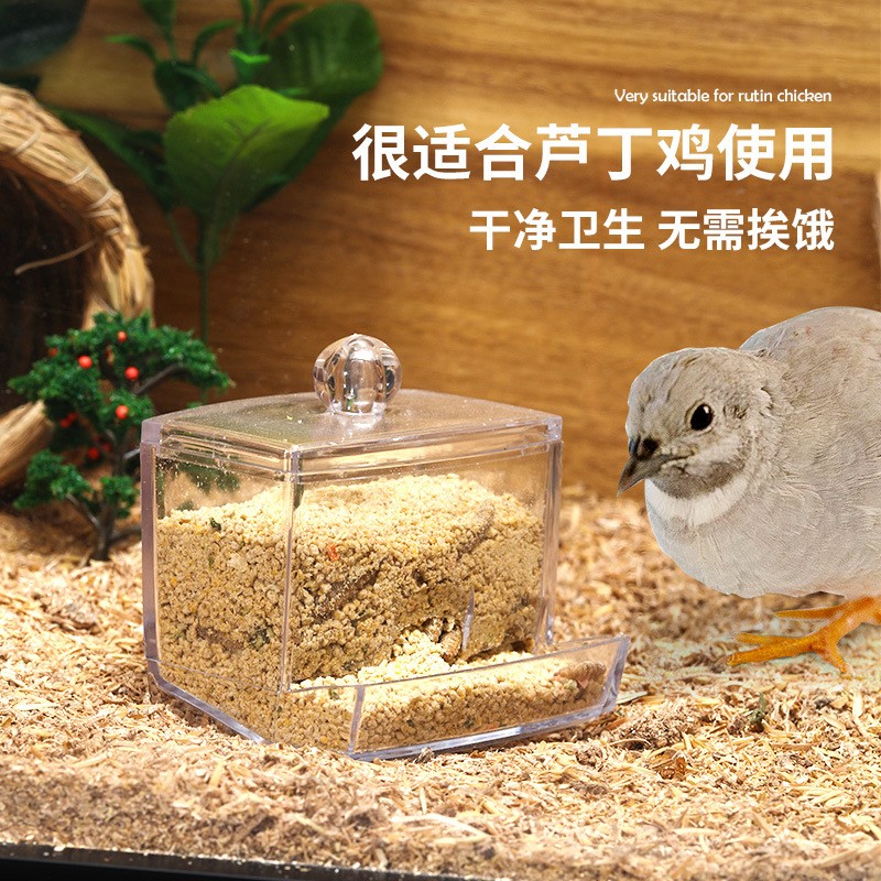 芦丁鸡自动喂食器鹌鹑小鸡食盒食盆食槽饮水喂水亚克力饲料盒造景