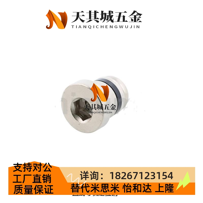 直线导轨定位销偏心销LLT3.5 LLT5 LLTS5 ICE11-T5不锈钢ICE12-T5