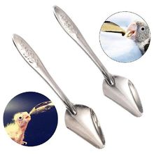 12cm Steel Feeding Spoon 4pcs Bird Stainless Parrot 厂家1