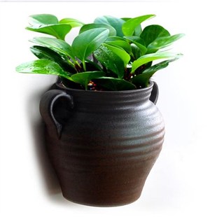 饰花器 多肉花盆墙壁装 壁挂花盆陶瓷欧式 创意阳台垂吊盆绿萝悬挂式