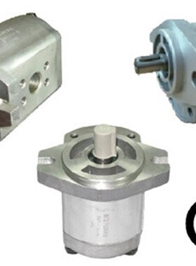 台湾锐力液压REXPOWER 齿轮泵RGP-F206R RGPV-F203R-12带调压