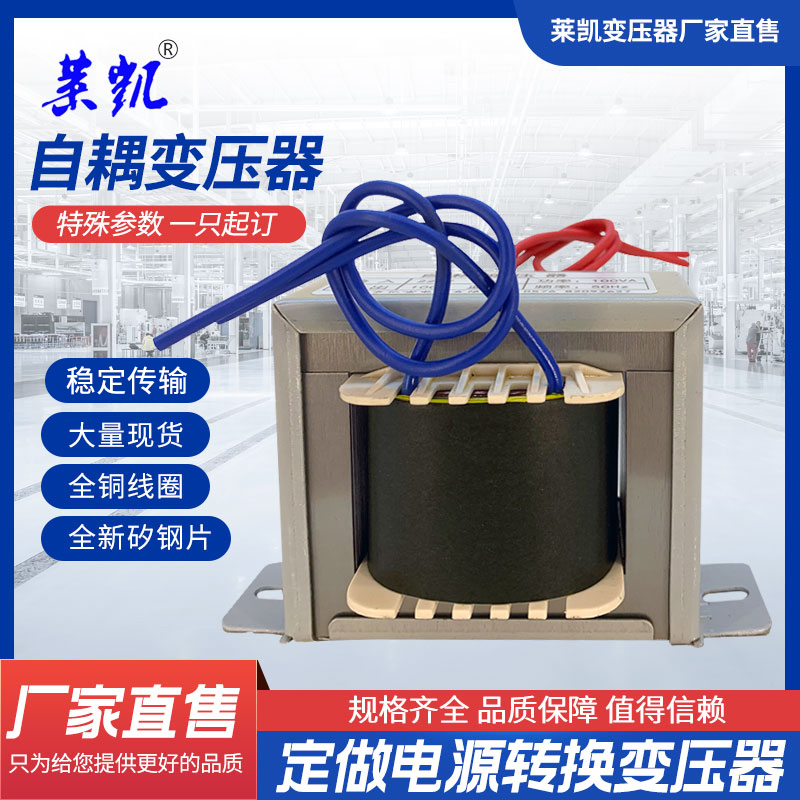 定做自耦电源变压器220V转110V/100V380转220V/110V进口电器转换