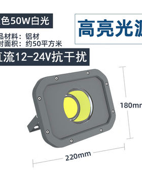 led投光灯低压直流船用电瓶12V24V220V50W100W防水射灯Z户外泛光