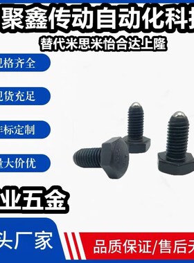 球头柱塞六角螺栓型 BPHL10/12/16-15/20/25/30/35/40/45/50 定位