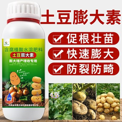 土豆专用膨大素地下根茎膨大素膨大剂土豆专用彭大肥料专用肥