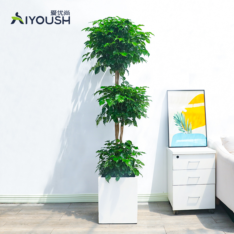 爱优尚幸福树客厅大盆栽室内造型绿宝树花盆大颗老桩w植物大型绿