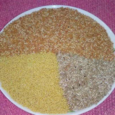 40元1750克 七彩文鸟高档混合粮  文鸟混合粮  混合粮