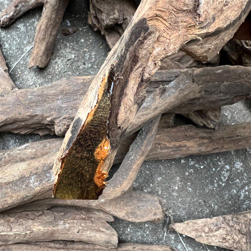 印尼巴布亚贡木印贡沉香原木木料边角料熏香料把件料