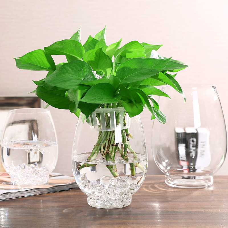 简约大号玻璃花瓶透明创意室内鱼缸水培水养绿萝植物器皿客厅摆件