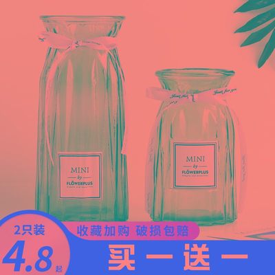 现货速发玻璃花瓶摆件客厅插花透明水养富贵竹干花专用瓶2021新款