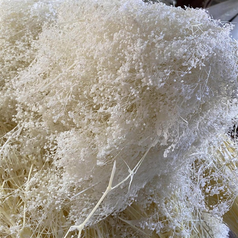 永生花百万星小满天星装饰花束diy瑕草霞草香薰材料干花