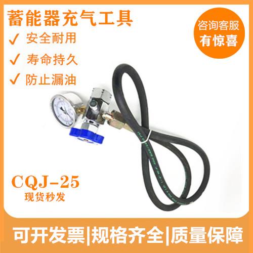 蓄能 3器充气工具CQJ-16CQJ-25 CQJ-40充氮工具管1长M 2M .5M.