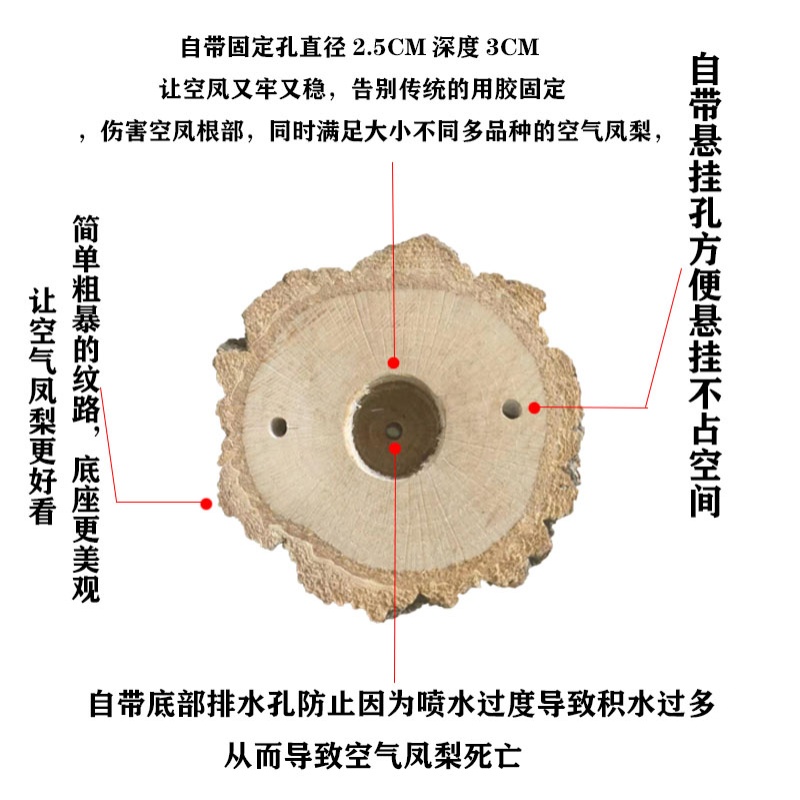 现货速发空气凤梨实木底座花盆 摆件  悬挂底座 懒人植物创意香槟