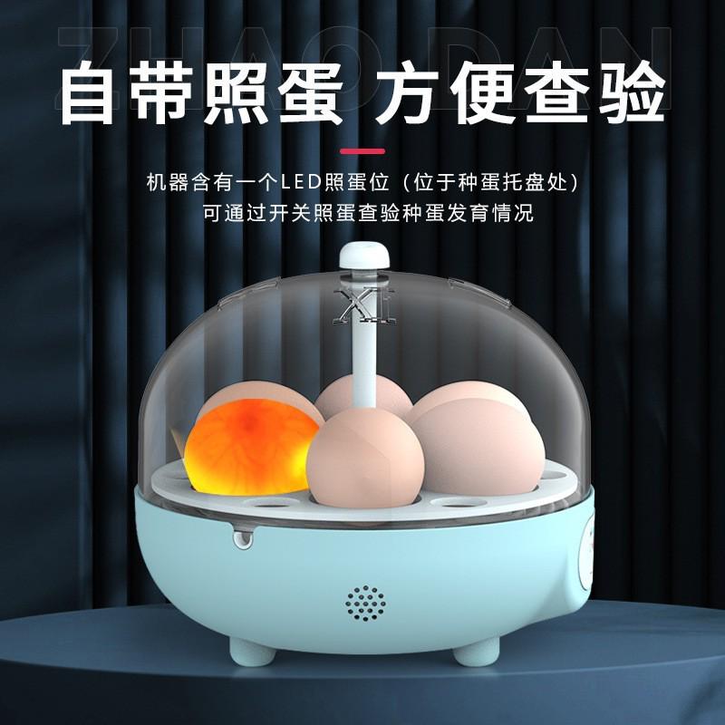 儿童孵蛋器全自动智能孵化机种蛋箱玄凤鹦鹉小鸡鸟卢丁小型家用型