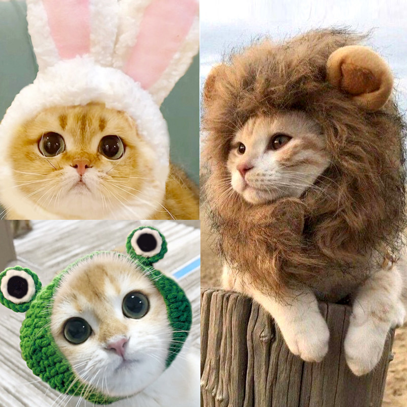 现货香彩网红宠物猫咪兔耳朵狮子头套兔子帽子可爱生日圣诞节头饰