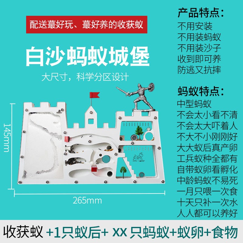 蚂蚁城堡生态箱蚂蚁工坊送收获蚁后学生观察生态箱蚁巢室屋家园