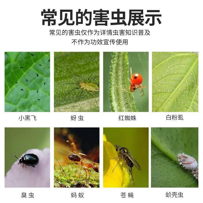 新品月季花病虫害常用药杀虫剂家用室内无毒无味花药杀虫剂通用小