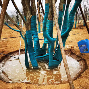 树木移栽生e根剂大树生根液植物通用生根粉营养液果树生根壮苗剂