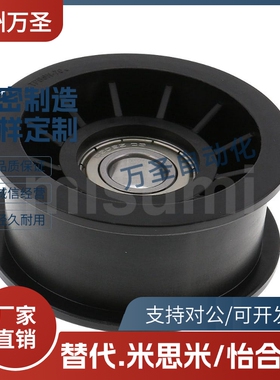 TPCFN惰轮TPBSN38 40 45 46 50 60 70-15 20 25 30 28 18 26 31