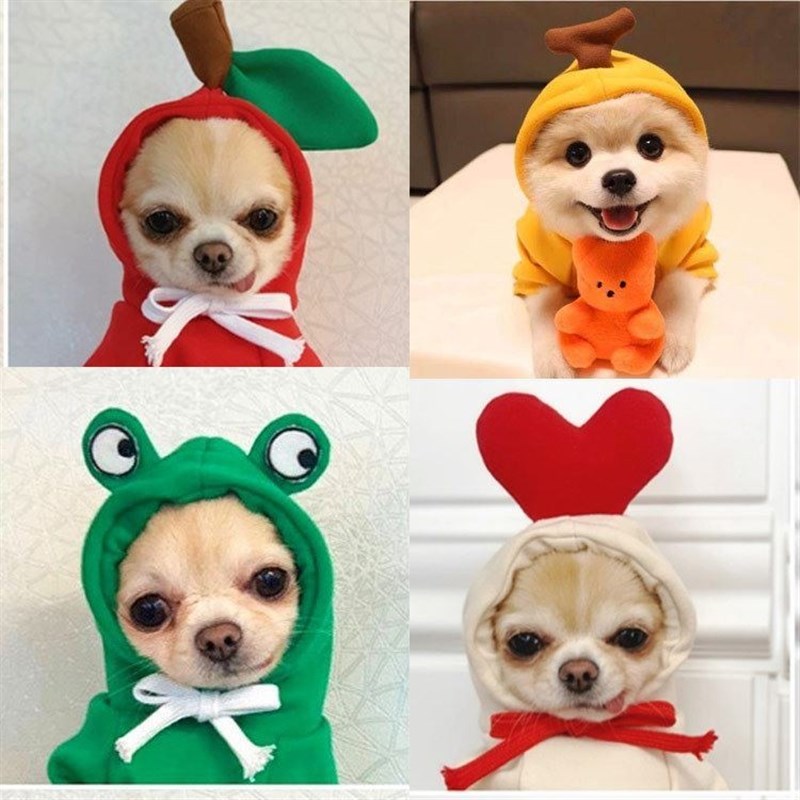 吉娃娃专用小狗狗衣服春秋款服装薄款带帽小型犬幼犬两脚卫衣可爱