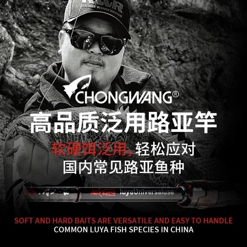 虫王临路亚e竿泛用杆虫杆直柄枪柄鲈鱼鳜鱼翘嘴鳡鱼远投泛用碳素