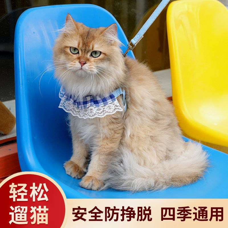 新款宠物猫咪胸背带遛猫绳涤纶围脖宠物衣服外出防挣脱透气牵引绳
