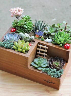 Wooden Flower Pots for Succulent Plants Nursery Garden Plant
