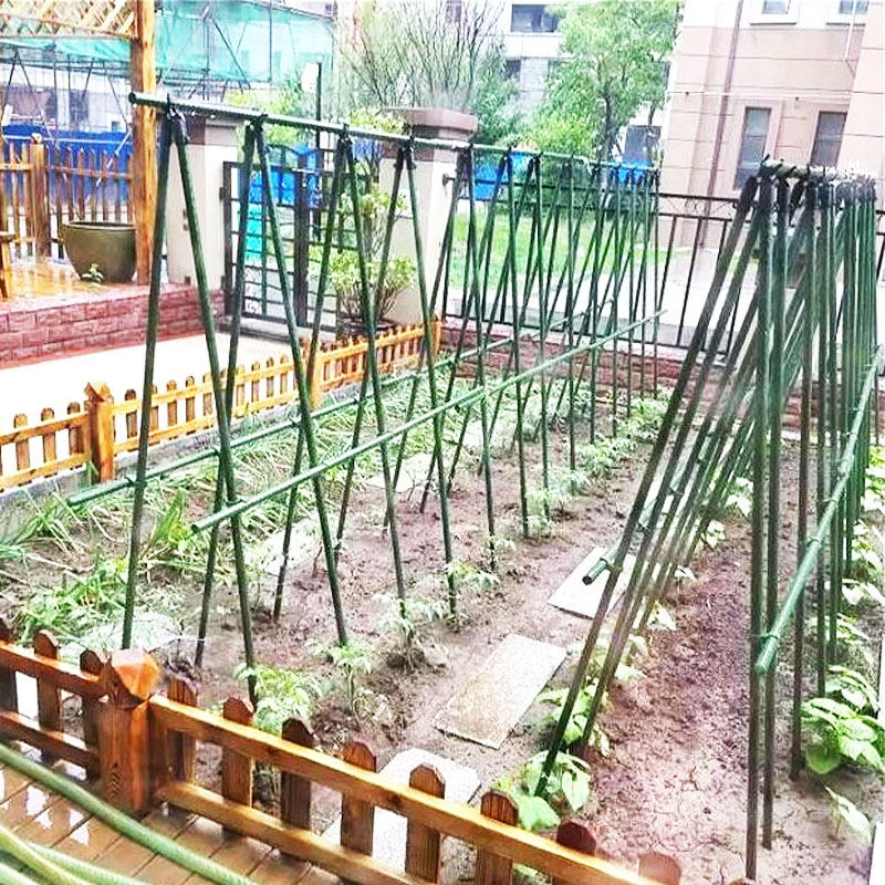 工厂销植物爬架 爬藤架 丝瓜z架豆角架子黄瓜瓜架家用户外阳台花