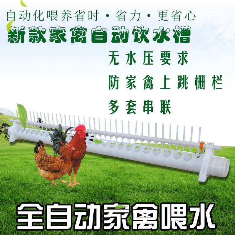 新型鸡饮水器自动喂水新款鸡鸭鹅养鸡自动饮水槽鸡用家禽包邮