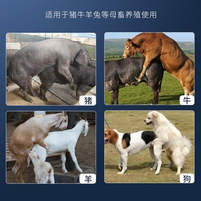 速发【多情多仔】猪牛羊犬母畜促孕配种可用 兽用添加剂