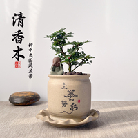 好香茶观a叶提神驱蚊室内新中式摆件盆栽清养木桌办公室造型小盆