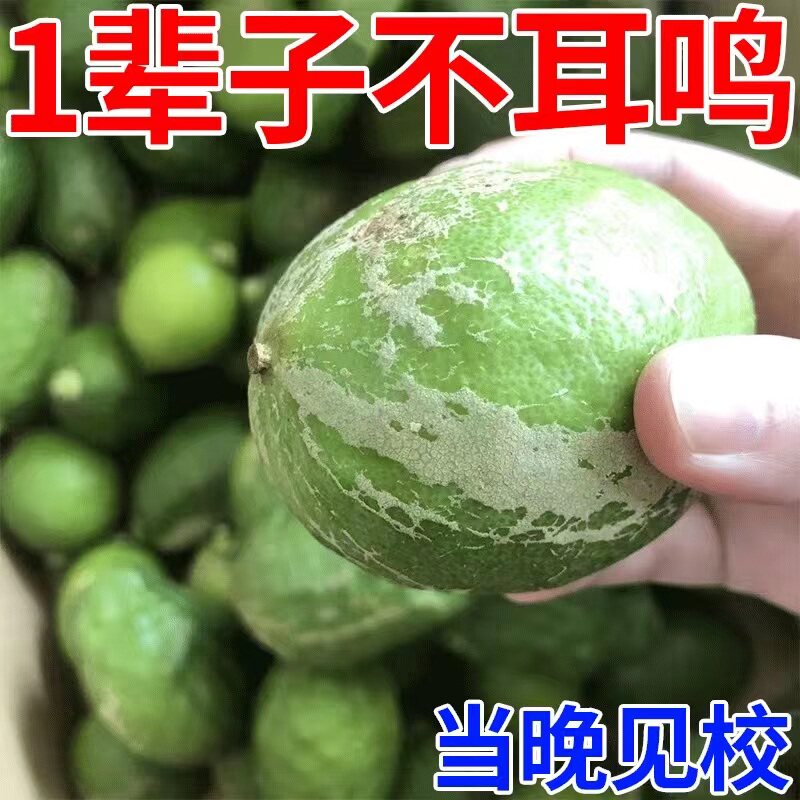 【老中医秘方止耳鸣】神r经性耳鸣脑鸣嗡响听力下降耳背耳聋耳康