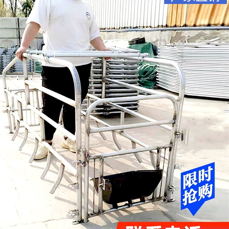 落地式母猪产床位单个猪位定位y栏限位栏一个栏位养猪设备产保一