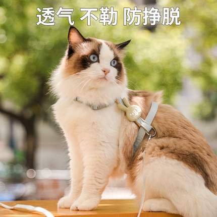 猫咪绳引牵防挣脱外出绳用遛猫专溜猫链子宠物胸背带猫绳子可调节