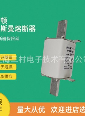 全新原装快速熔断器保险丝170M4240 170M4241 170M4242 170M4243